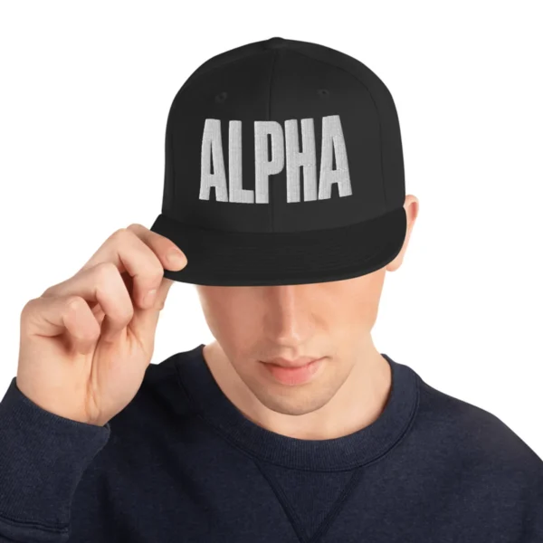 Alpha 3D Embroidered Snapback, alternate view 2