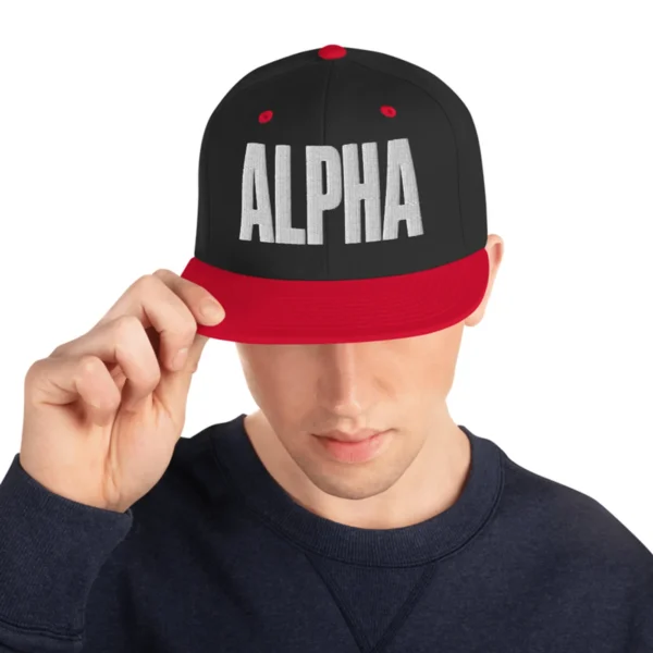 Alpha 3D Embroidered Snapback, alternate view 3