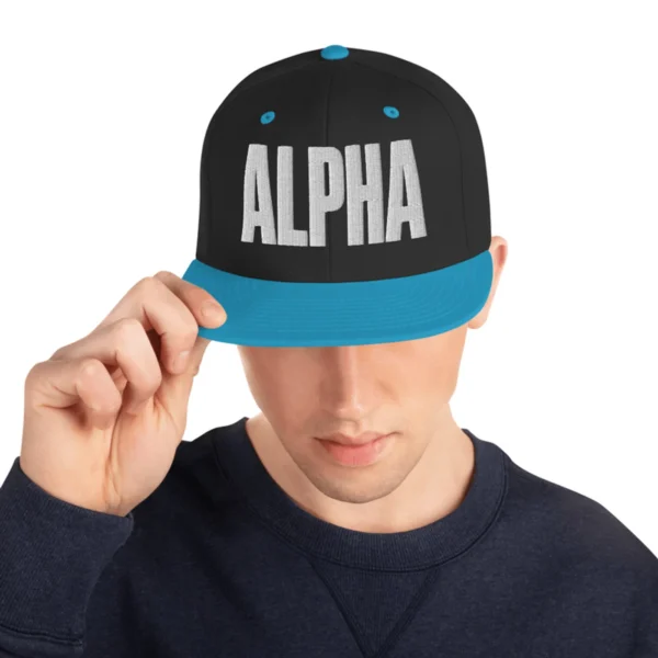 Alpha 3D Embroidered Snapback, alternate view 4