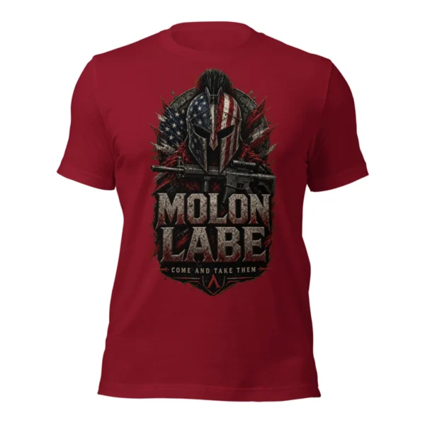 Molon Labe Spartan Tee, alternate view 2