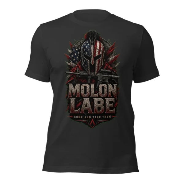 Molon Labe Spartan Tee, alternate view 3